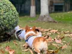 -西北湖绿化广场