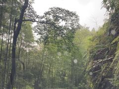 -南昆山川龙瀑布