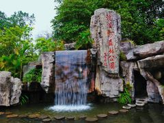 -广州市流溪河国家森林公园