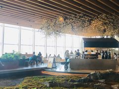 -Seesaw Coffee(朝阳大悦城店)