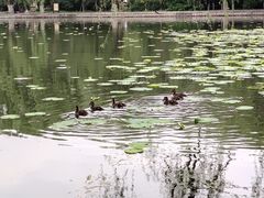 -北陵公园
