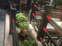 -红蜡烛-养生粥-津鲁菜(中山路店)