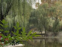 -西安市长乐公园
