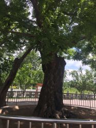 点击看大图 -大望京儿童游乐场