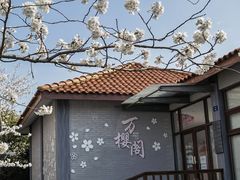 -高东镇樱花园