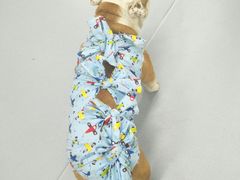 -达爱动物医院·犬猫分区·CT·复杂眼科(远洋山水分院)