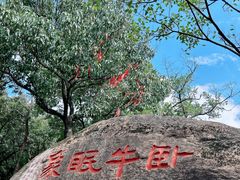 -灵岩山风景区
