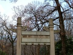 -灵谷景区