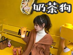 -奶茶狗(旧梦店)