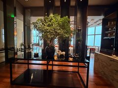 -上海柏悦酒店