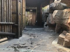 -海口观澜湖火山温泉谷