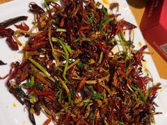 -张烤鸭·川菜·非遗冒烤鸭(青石桥店)