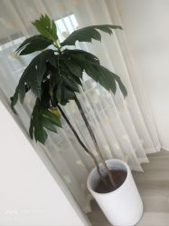 -HEYAN荷妍专业脱毛连锁机构