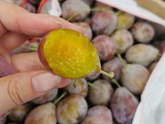 -西郊国际农产品交易中心
