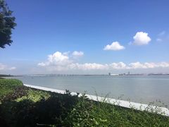 -大湾区中央湿地公园