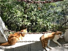 -终南山南五台景区