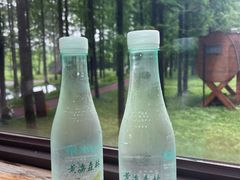 -黄海国家森林公园