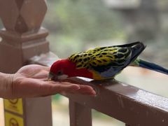 -南宫五洲植物乐园