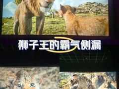 -卢米埃影城(住总万科杜比全景声激光店)