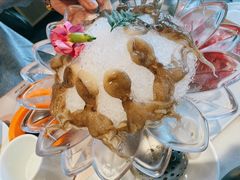 八爪鱼-煲宫猪肚鸡(晶品店)