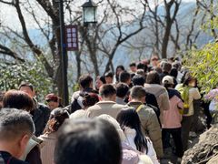 -灵顺寺