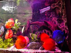 -上海海洋水族馆