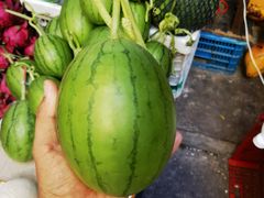 -三亚新鸿港水果一级批发市场