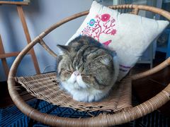 -参差咖啡(水果湖公园店)