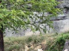 -杭州野生动物世界