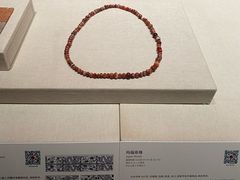 -深圳博物馆历史民俗馆