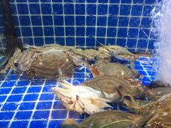 -碧海银沙海鲜餐厅(恒大海上威尼斯店)