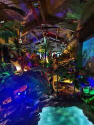 -恐龙探索乐园(磁器口店)