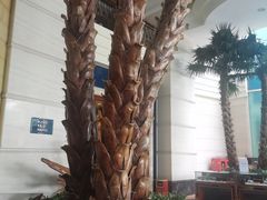 -广州科尔海悦酒店