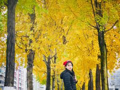 -高庙村(地铁站)