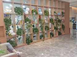 -碧莲盛·不剃发植发
