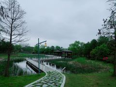 -同里国家湿地公园