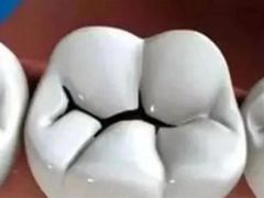 -瑞尔齿科(南京东路名人诊所)