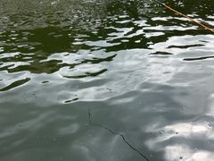 -DGE季风钓虾营地·团建·聚会