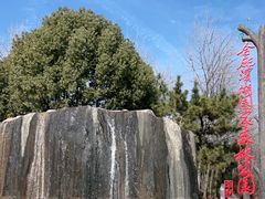 -合肥滨湖国家森林公园