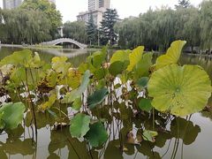 -西安市长乐公园