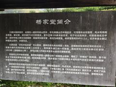 -杨家堂村