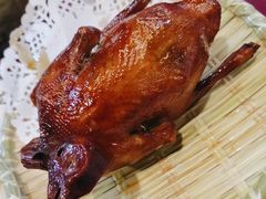 -麻奢鸽农庄·梦里水乡