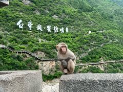 -白帝城·瞿塘峡景区