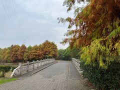 -上海海湾国家森林公园