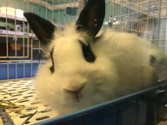 -雨林宠物医院 非犬猫异宠专科