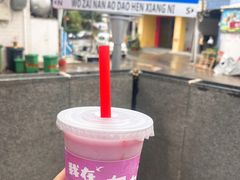 -南澳岛打卡果汁冰公司