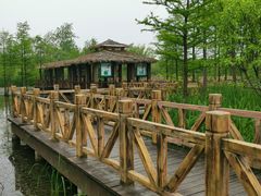 -溱湖国家湿地公园