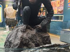 -国家自然博物馆