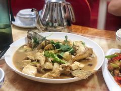 家常狗鱼-煲来饱去冷水鱼