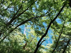 -陕西省红河谷森林公园